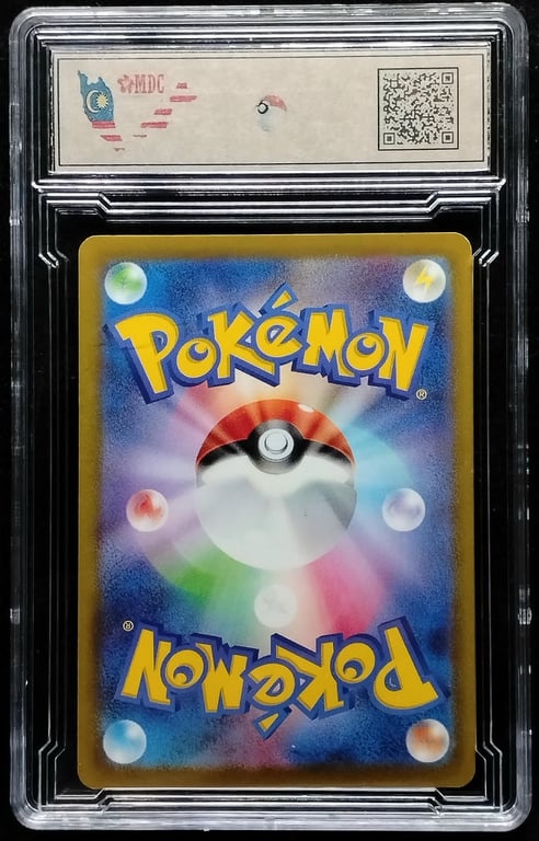 IMG_20260828_021523_edit_4151864362047383.jpg