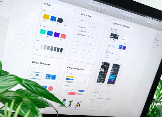 fern in front of a design document on a large monitor