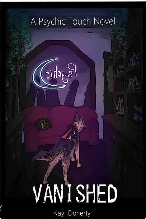 Vanished book cover