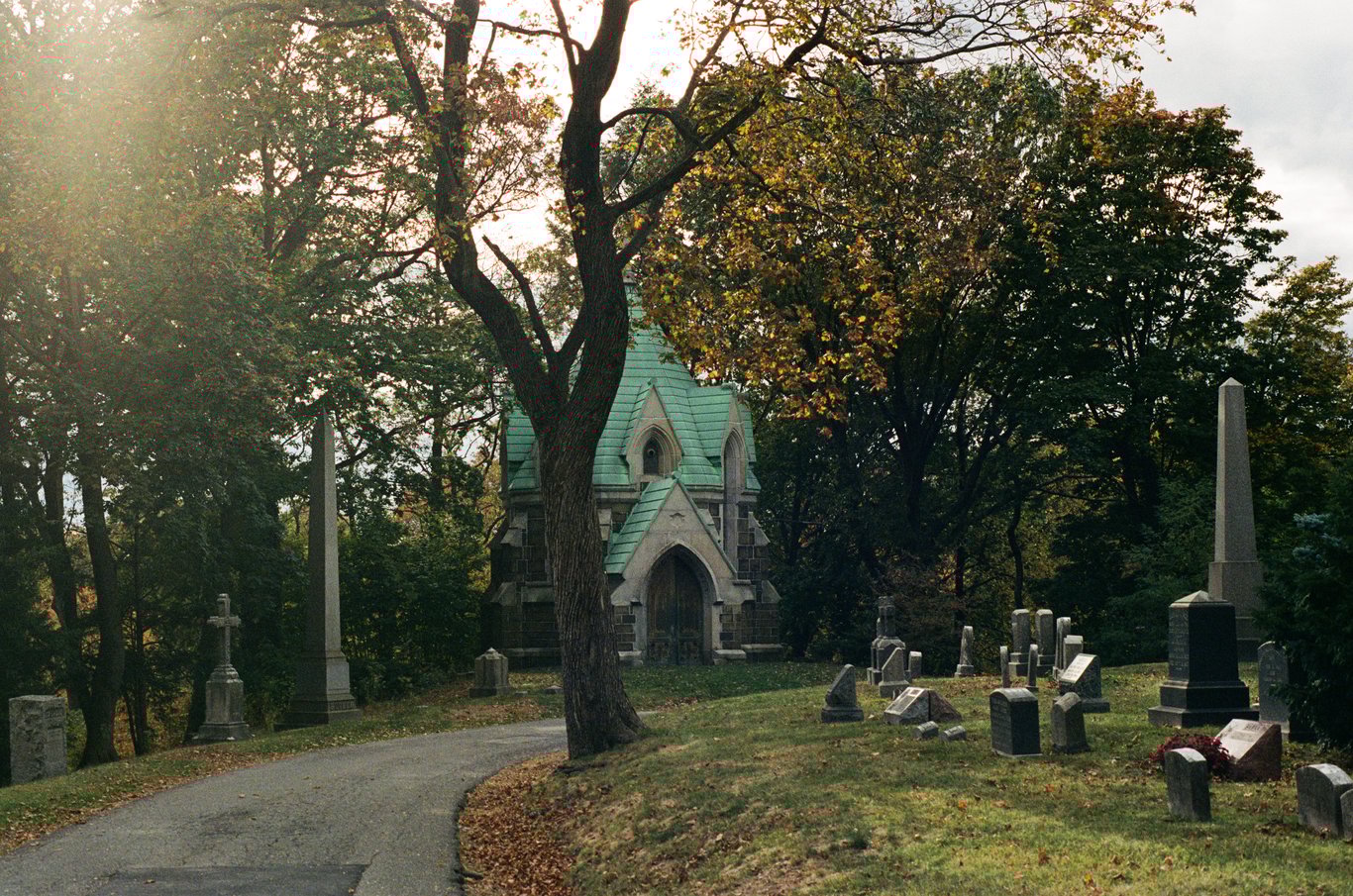 Photo from 2025-10-25