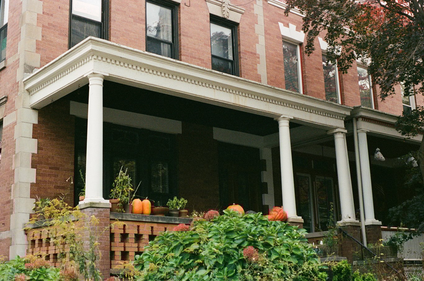 Photo from 2025-10-25