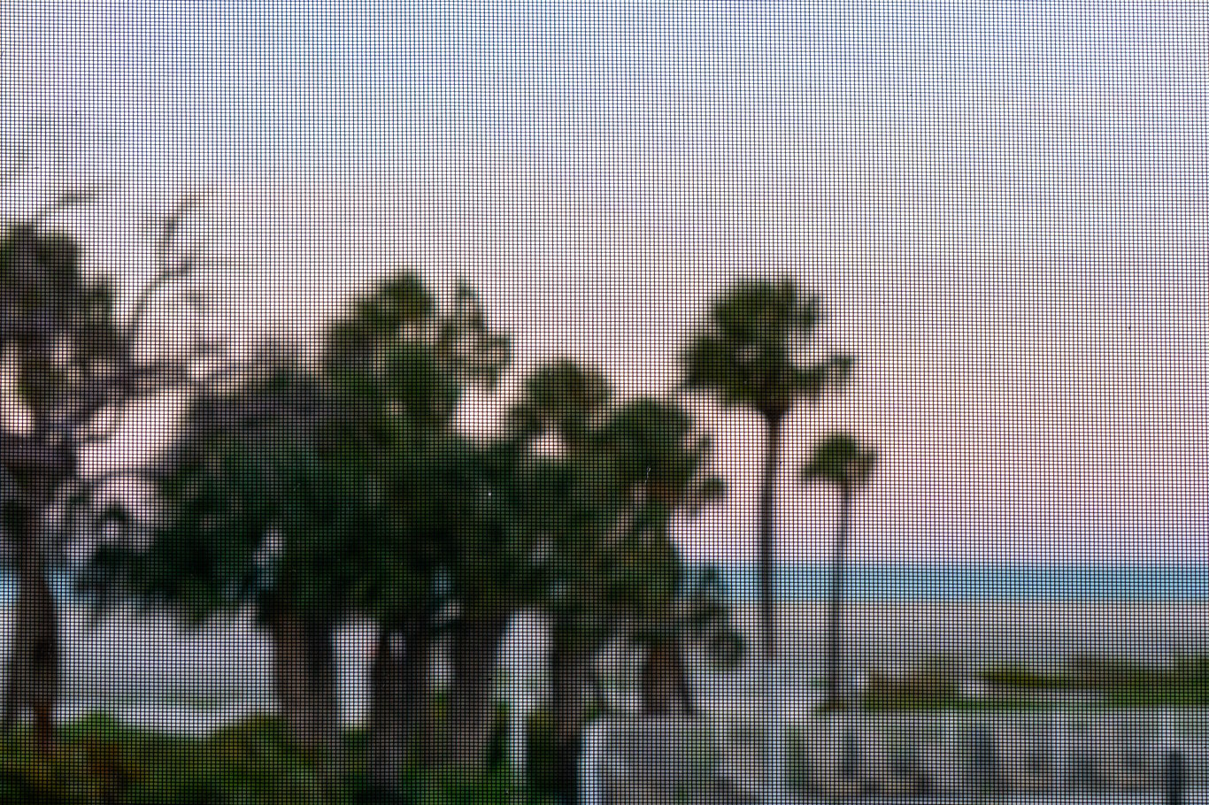 Photo from Sanibel & Captiva
