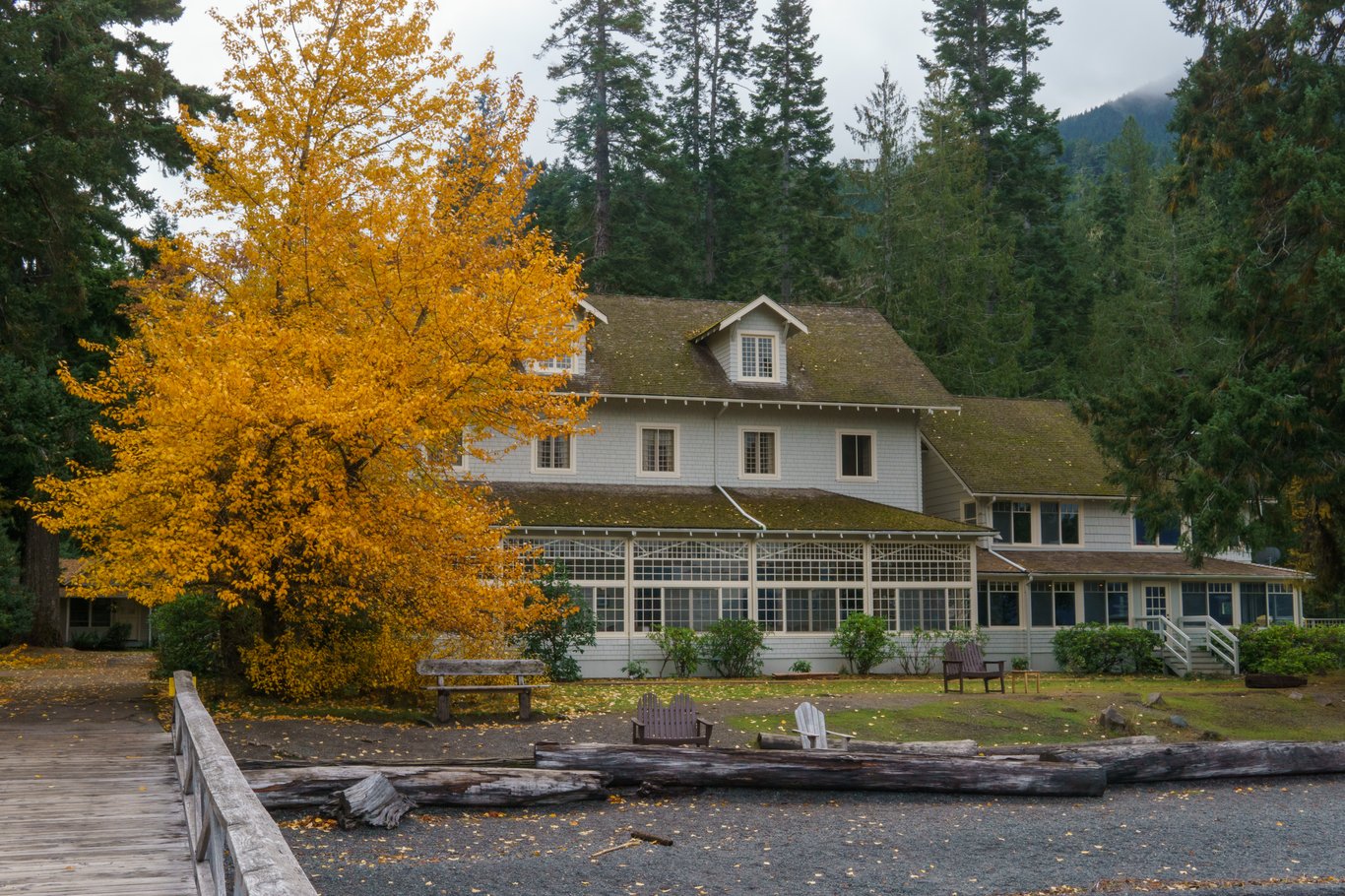 Preview image from 2025-11-03.md