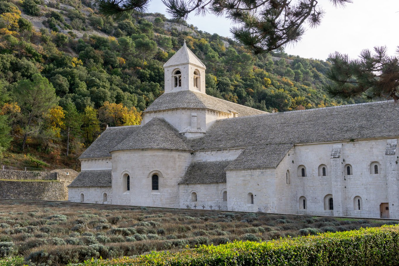 Preview image from 2025-11-23.md