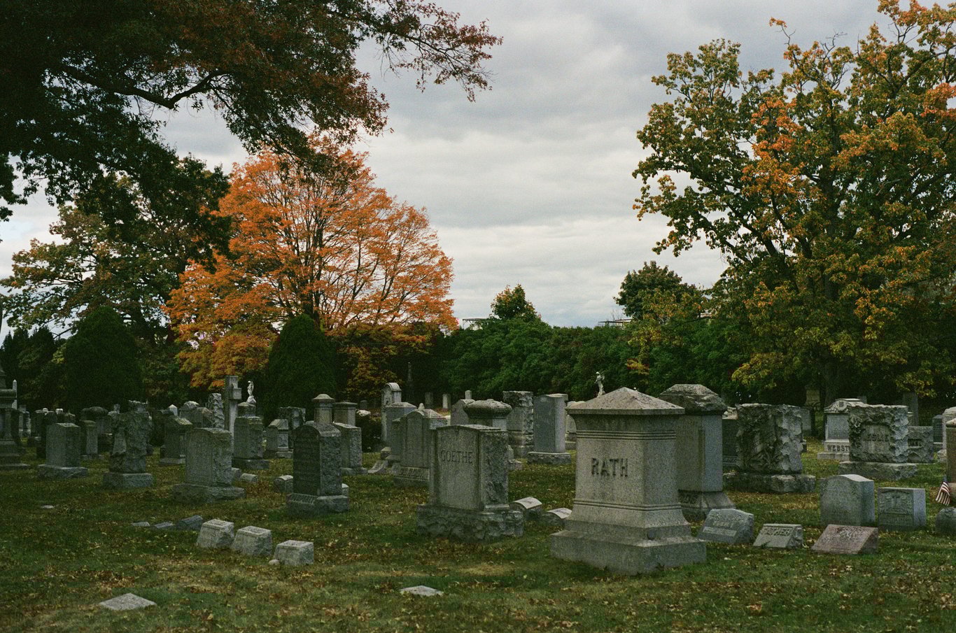 Photo from 2025-10-25