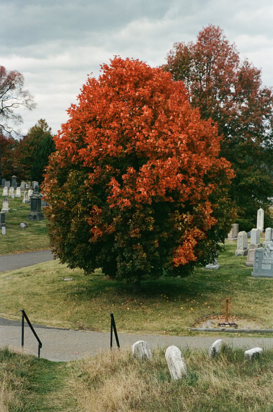 Photo from 2025-10-25