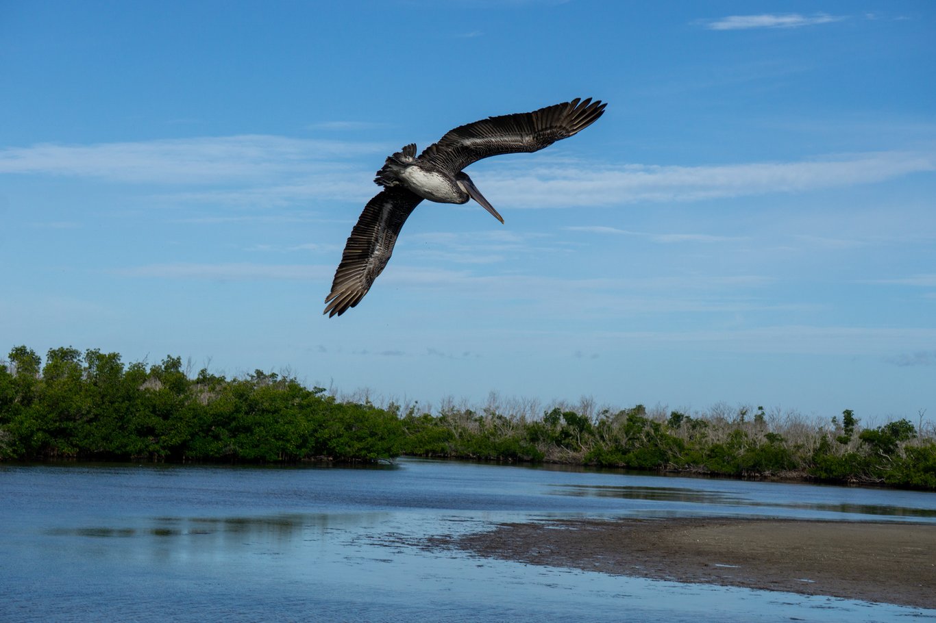Photo from Sanibel & Captiva