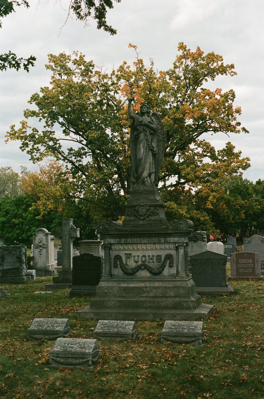 Photo from 2025-10-25