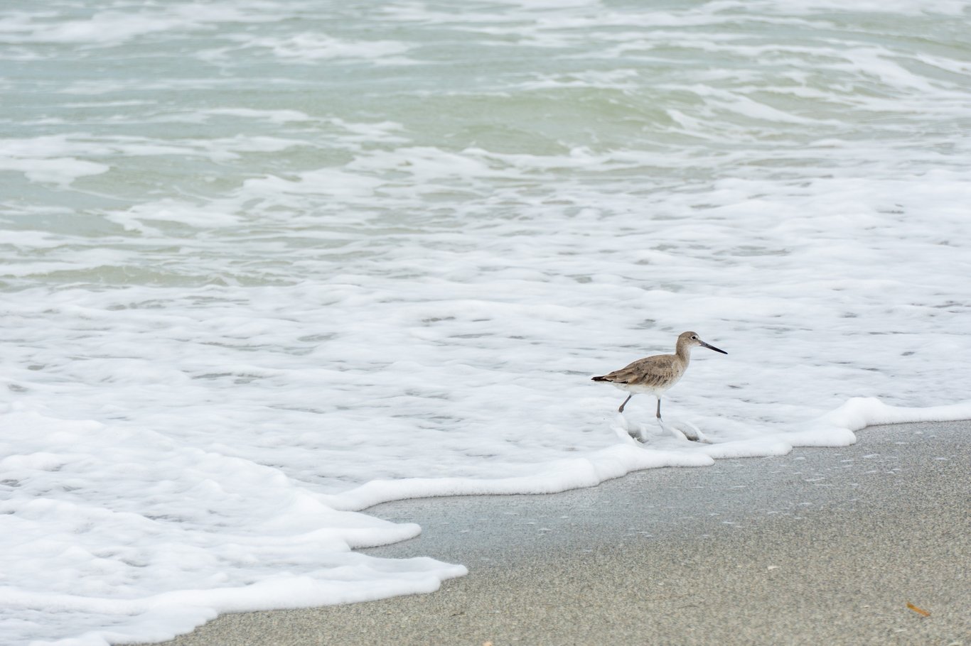 Photo from Sanibel & Captiva