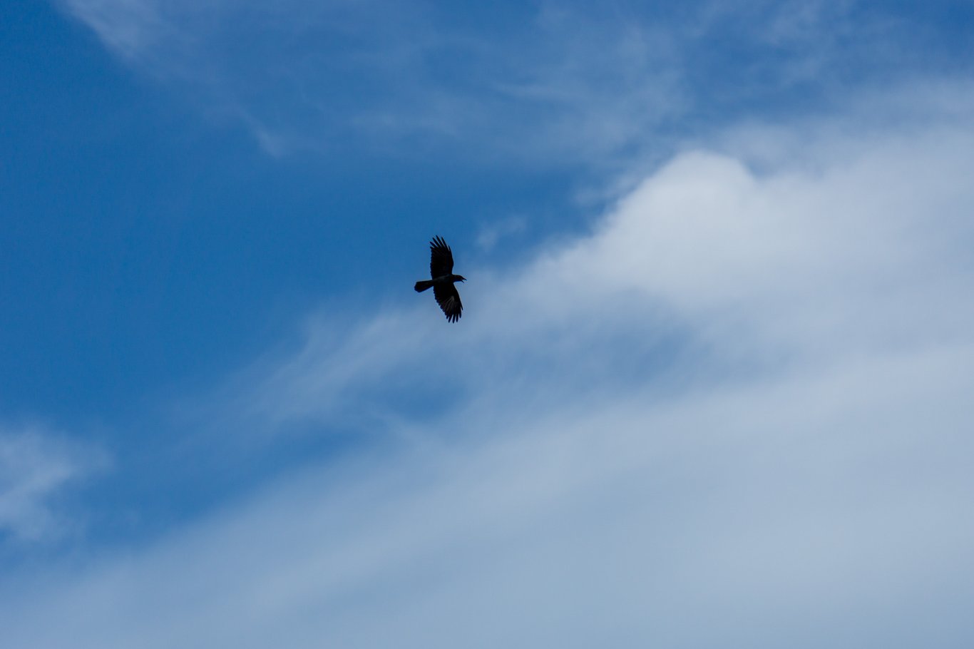 Photo from Sanibel & Captiva