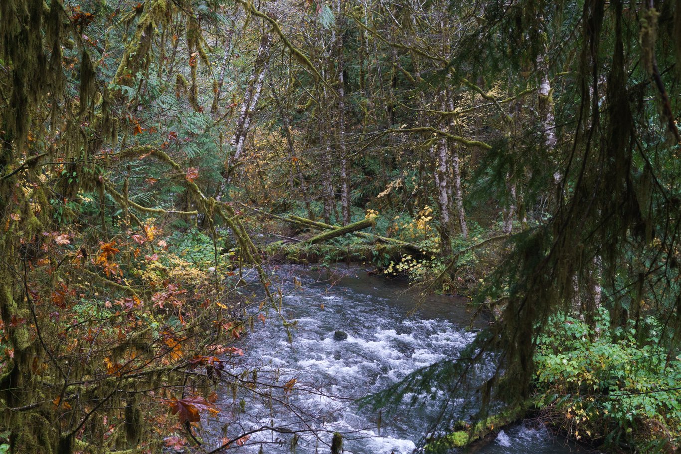 Preview image from 2025-11-03.md