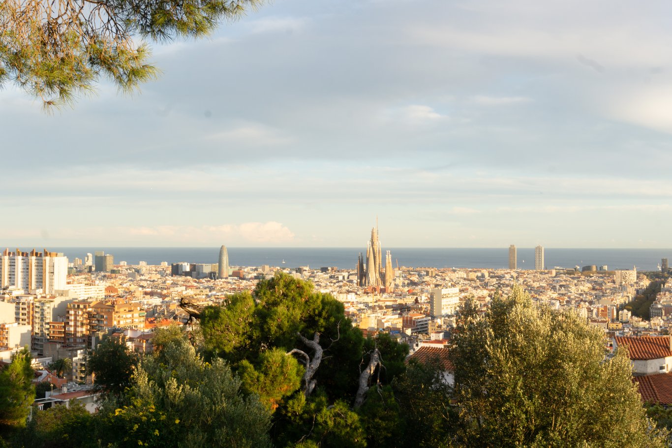 Preview image from 2025-11-16.md