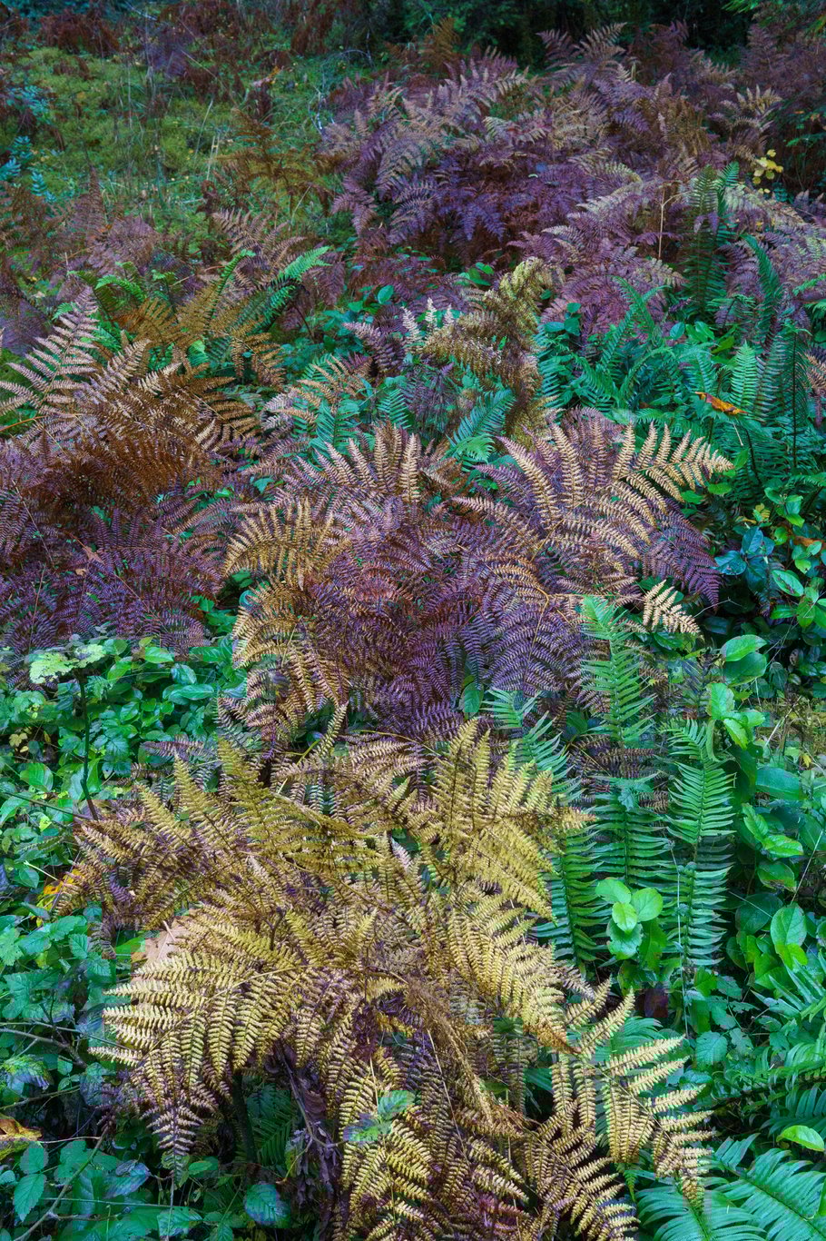 Preview image from 2025-11-03.md