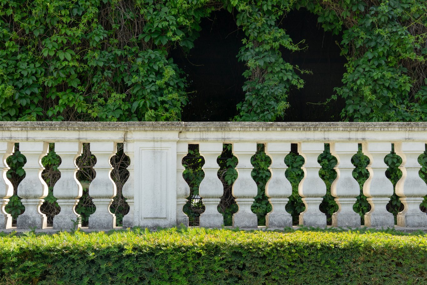 Photo from Vienna