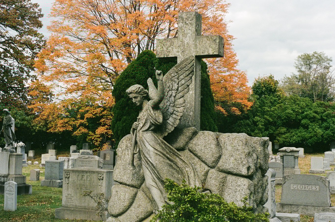 Photo from 2025-10-25