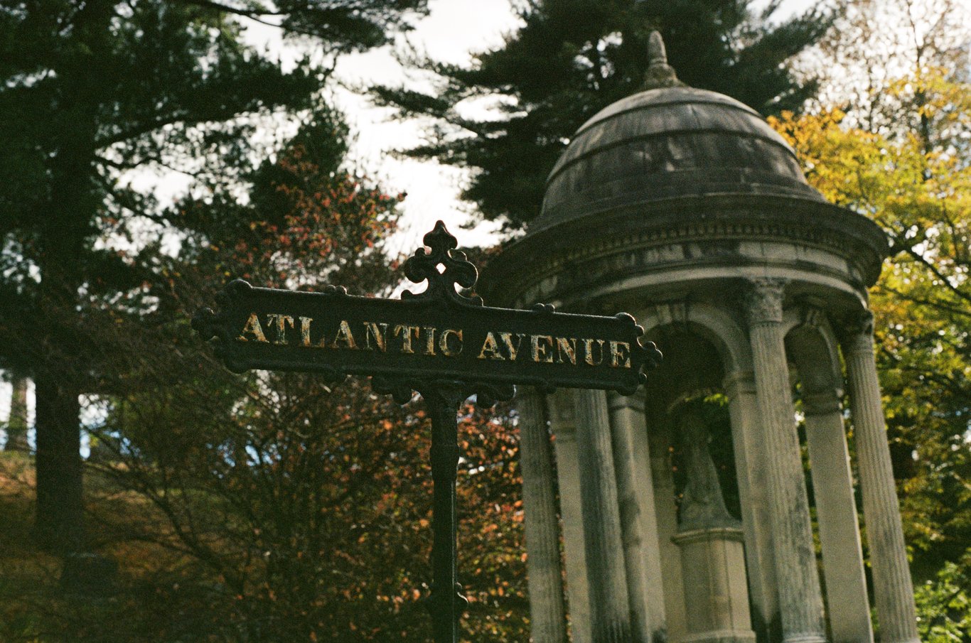 Photo from 2025-10-25