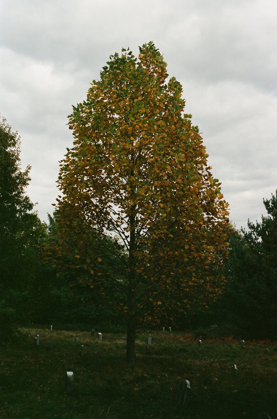 Photo from 2025-10-25