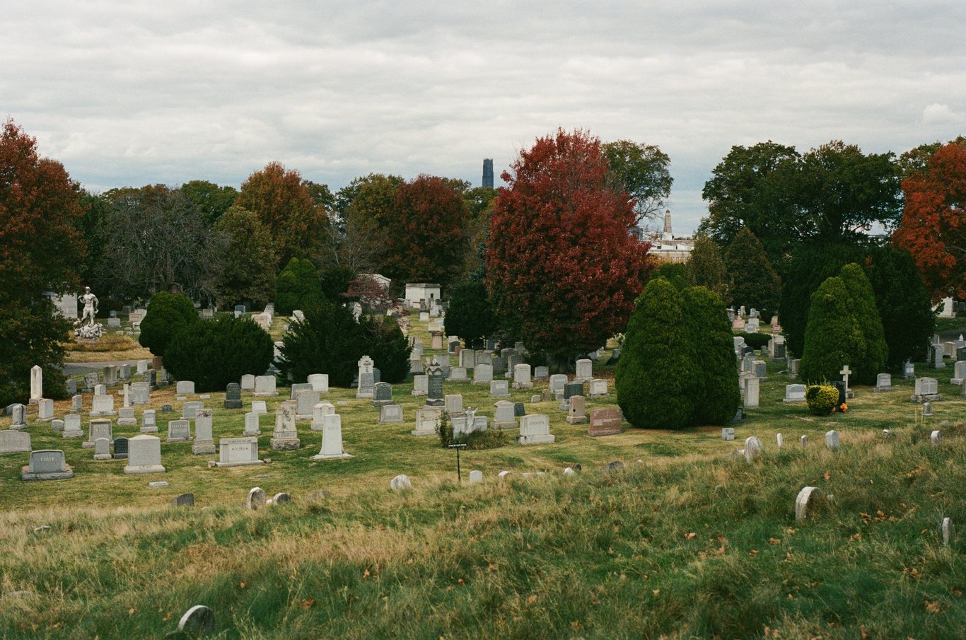 Photo from 2025-10-25