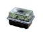 Picture of Rapid Roots Seed Starter Kit 12Plugs
