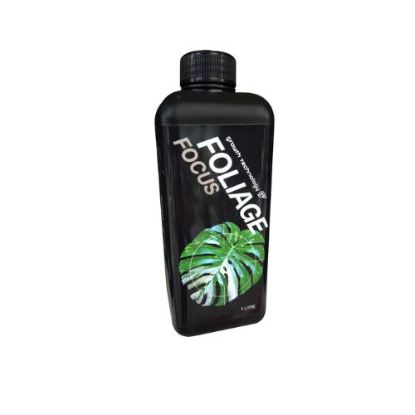 Picture of copy of GT Foliage Focus 1L | For Herbs, Palms &amp; Ferns