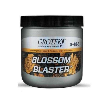 Picture of Grotek Blossom Blaster 500GM