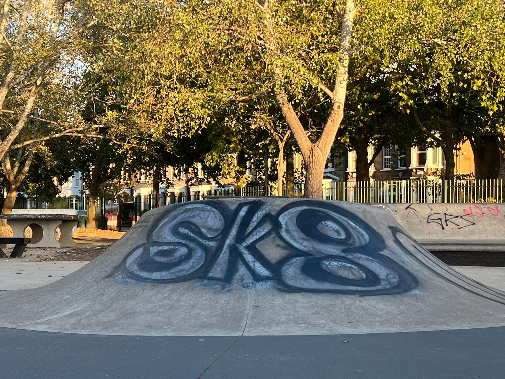 Cann Hall Skatepark, photo 1 of 8