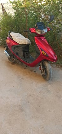 فراشة فحل • حلة مركز