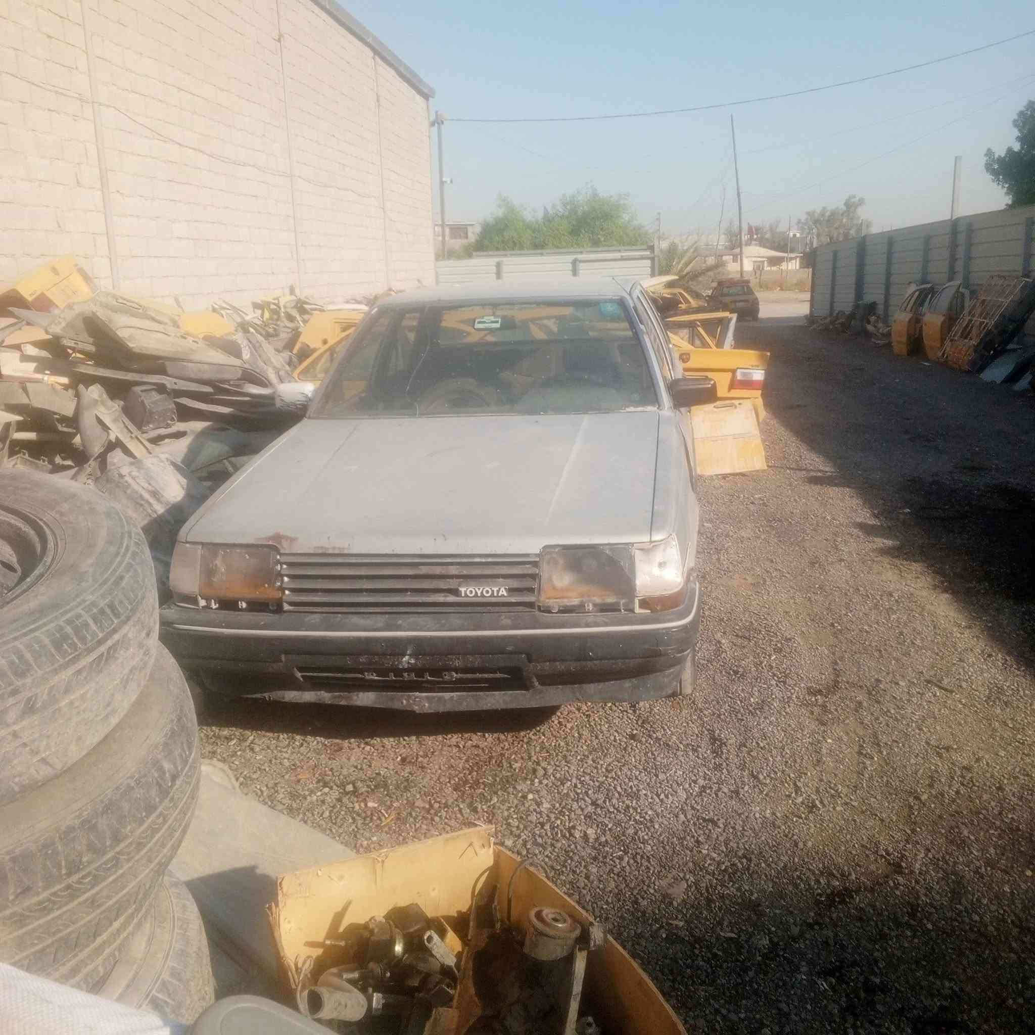 كرونه معوقين تفصيخ اليحتاج غراض  بلخدمه   وهاذرقمي غير متواجد ع نت ***********0 فصخ وخذ عيوني الف عافيه
