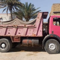 للبيع • شاحنة • سعر