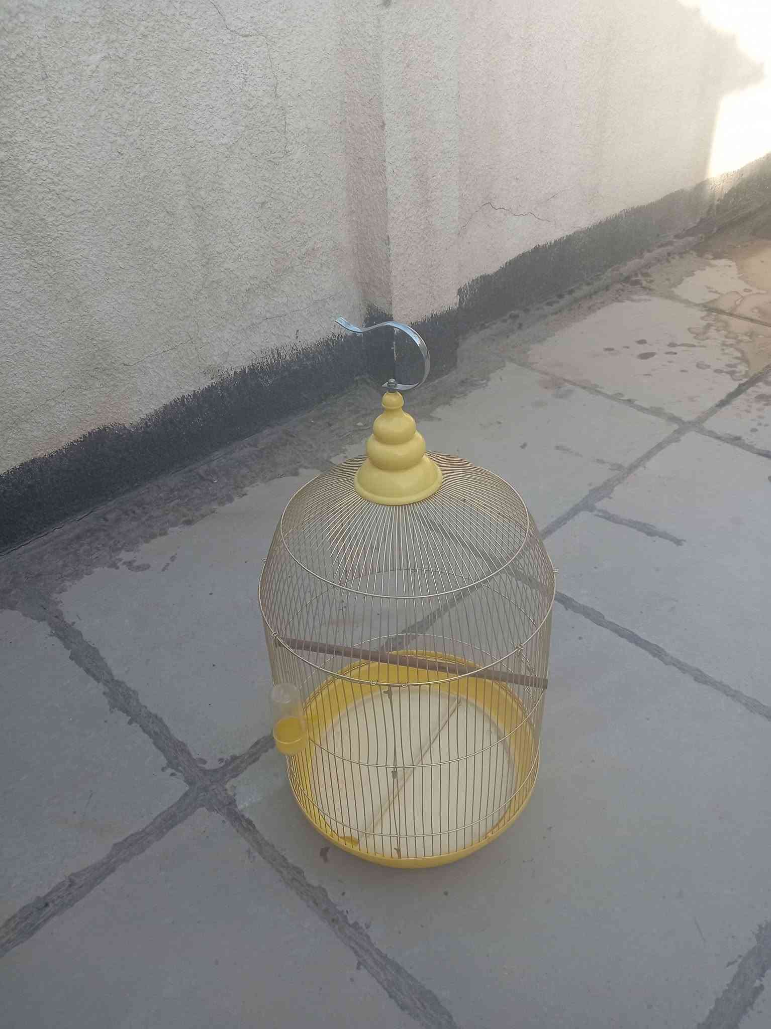قفس طيور • ميز طعام • قدر ضغط