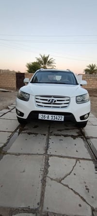 سنتافي خليجي • ٢٠١١ • كشنات جلد