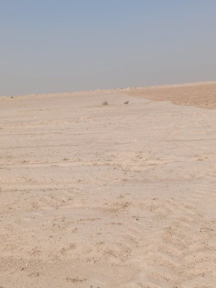 بسم الله الرحمن الرحيم 
السلام عليكم 
ارض زراعيه للبيع المساحة تقريبا 90 دونم للبيع علا شارع ياعلي 
طريق نجف كربلاء بلذبه ال5
ارض فارغه بدون لابير ولاكهرباء 
المجاور بصفه خير من الله زرع وماي 
تبعد عن شارع التبليط 500متر 
وتبعد عن طريق نجف كربلاء 5كيلوو 
شارعه عرضه 25متر كاع حلووه  تفاصيل أكثر 
للتواصل ***********
‏‪+964 770 204 6654‬‏
