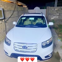 سنتافي • ٢٠١١ • فول