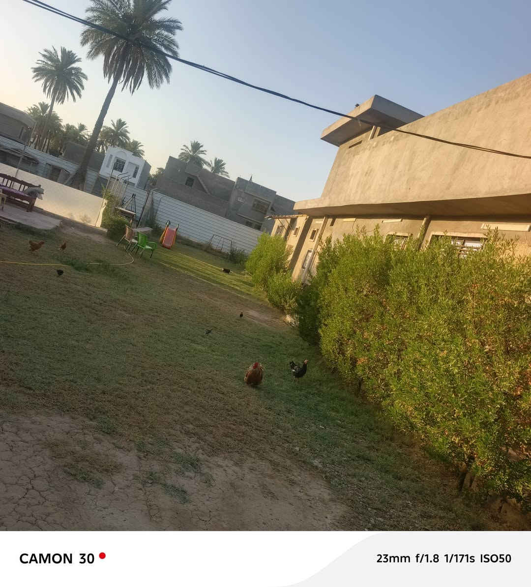 دار للبيع  مساحه ١٣٠٠ متر سند ٢٥ 
الدورة هوررجب   ركن ع شارعين 
 خلف افران الزيتون
تحتوي ع بيت مساحه ٣٠٠ 
طابق ونص   ٤ غرف نوم 
وصاله ومطبخ 
واستقبال 
وصحيات 
وبي مشتمل ١٥٠ متر   مسكف سندويج 
 وبي اساس شريطي ٢٥٠ متر 
الاستفسار ***********
***********
او مراجعه مكتب ليث الجبوري للعقار

