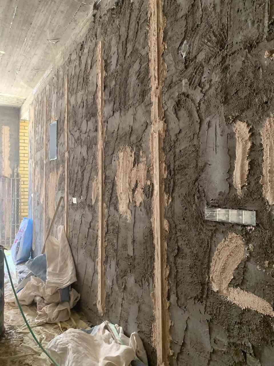 لباخ • متفرغ • هندسي