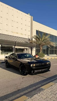 جالنجر • ٢٠١٦ • رقم بصره