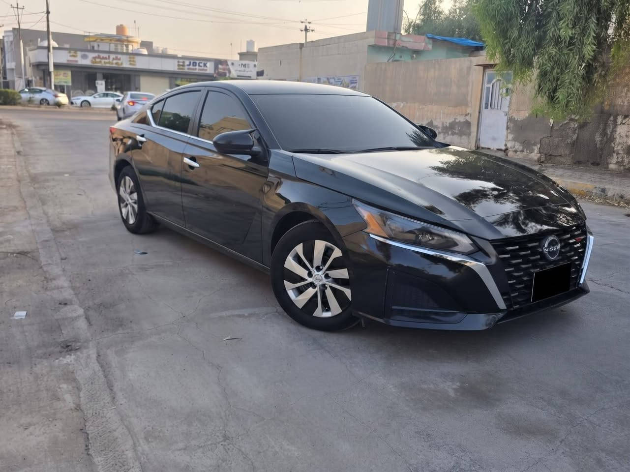 التيما • ٢٠٢٤ • رقم اربيل