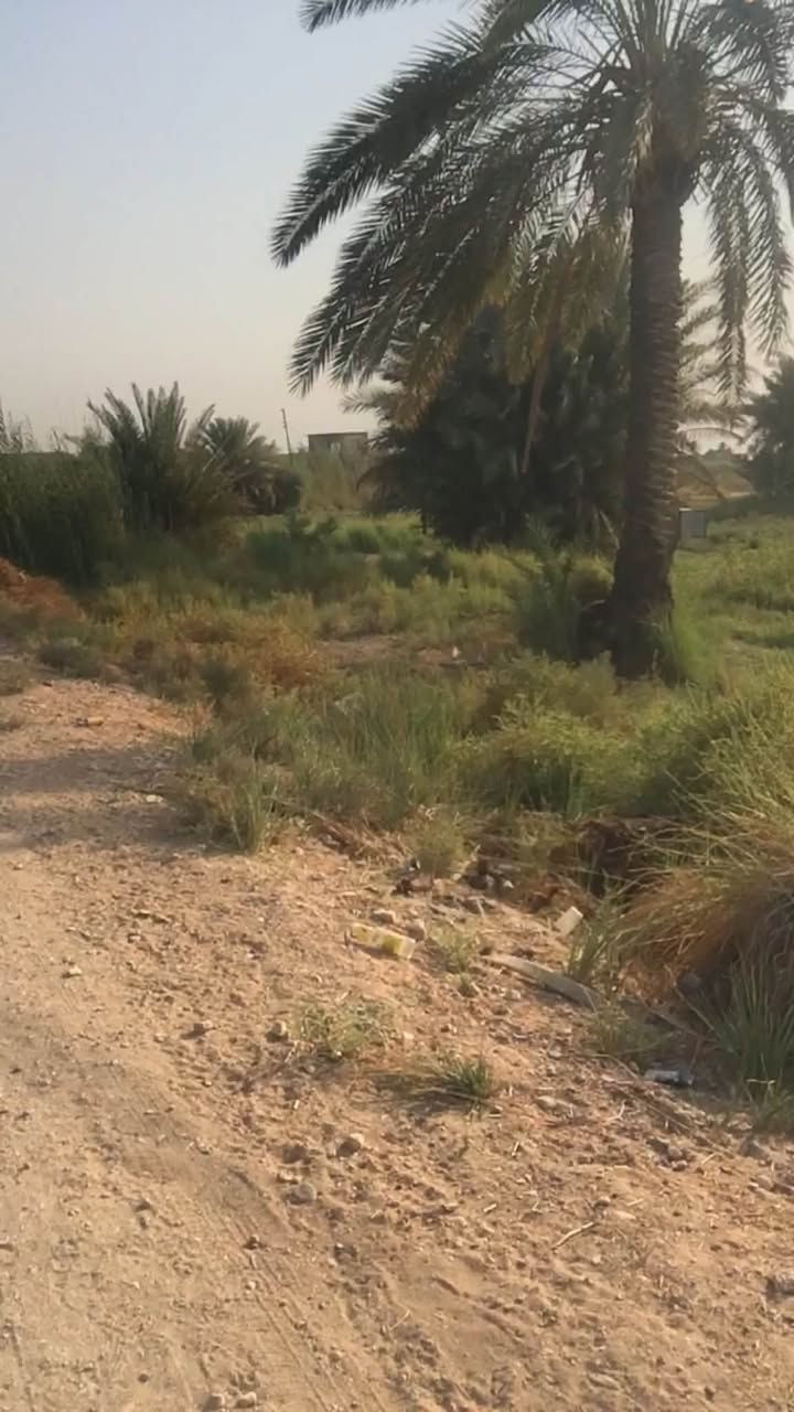 ٨ دونم • طابو زراعي • واجهة تبليط ٧٠م