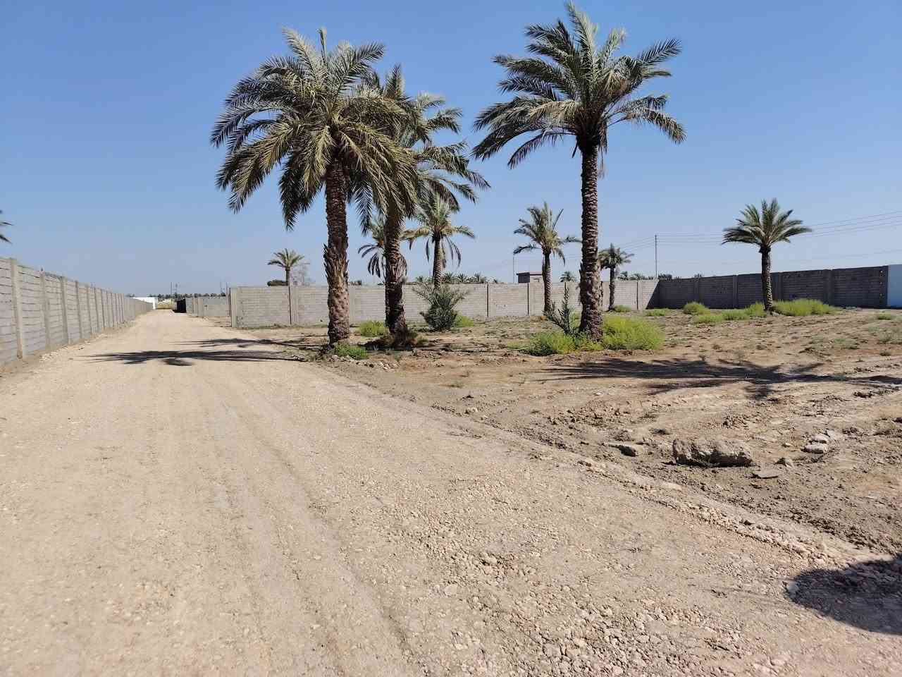 سلام عليكم يوجد لدينه قطعه أرض طابو ملك صرف المساحه ٥ دونم الواجها الواحد ٥٠ في ٥٠ تباع حسب طلب دونم فما فوق صاير عله شارعين تبليط وسبيس كامله الخدمات العنوان بغداد اليوسفيه بئر الحمام شارع الأول خلف البانزيخانه بئر الحمام الاستفسار
***********
***********
