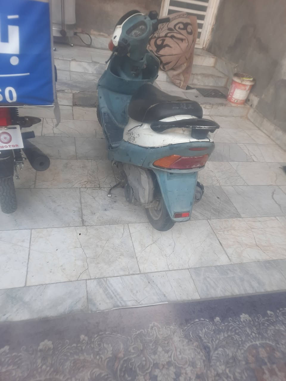 شغال • سلف • ناصريه