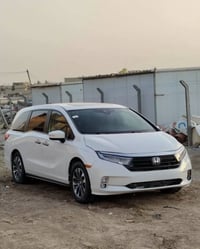 اوديسي ٧راكب • ٢٠٢٣ • بابل