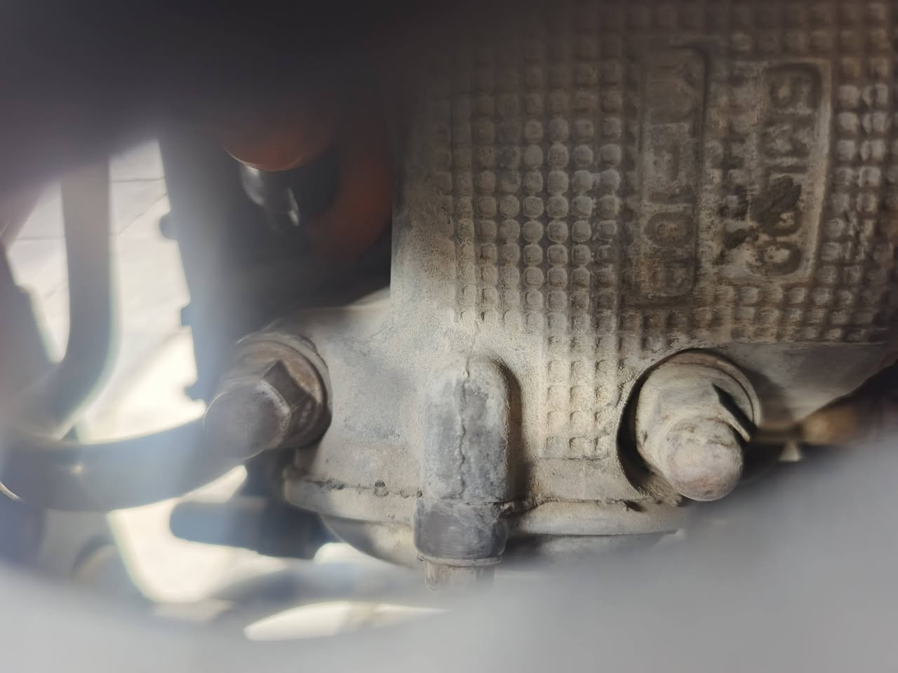 ثعلب • نضيفه • سلف وهندر