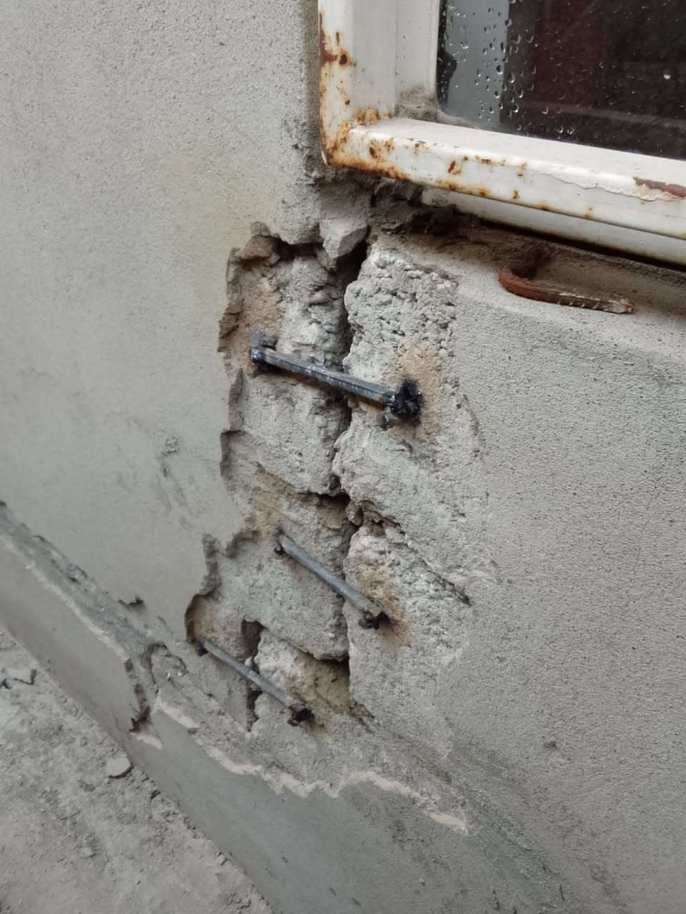 السلام عليكم تصليح بيوت لعند فطر مثل هذا الفطر نصلحه وهذا شغلنا قدام العين رقمي بو واتساب ***********
