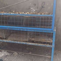 اقفاص دجاج • ٢ متر • عدد ٢