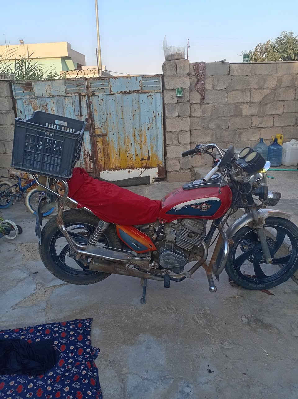 جني للبيع  السعر ٢٠٠ و بي مجال *********** شروين عرب عبدلله
