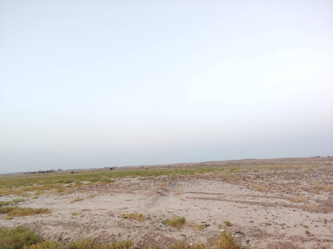 سلام عليكم كاع البيع 64 دونم مكاني بابل الحمزه الغربي منطغه الغزالي وهاذه رقمي ***********
