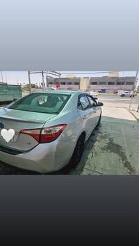 كورلا • ٢٠١٦ • رقم اربيل