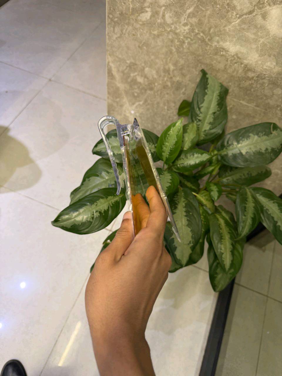 واقي الرؤية النهاري والليلي للسياره 
السعر 15 الف توصيل مجاني 
للتواصل واتساب فقط مراسلة( *********** )
للتواصل انستا أو فيسبوك أو تيك توك اسم صفحة ( كاستر ستور )