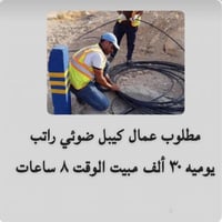 عمال كيبل ضوئي • يومية • مبيت