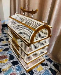 قفص • شغل درجه اولى • ام الكبر الغزلان